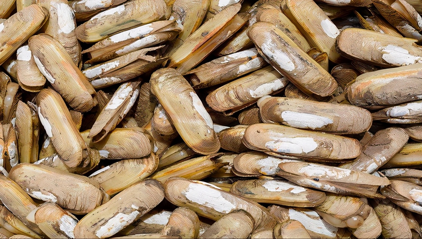 秦皇岛户外探险,秦皇岛旅游攻略最新版