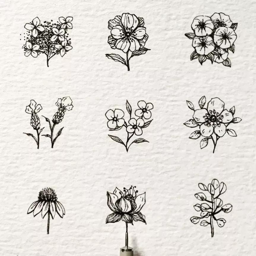 一看就懂的针管简笔画,针管笔入门手绘1000例临摹图