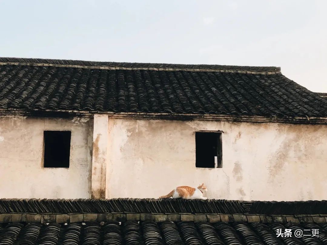 相识27天七夕闪婚完整版,相识15天闪婚成功案例