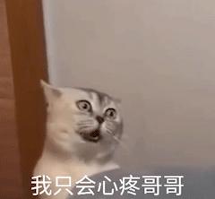 海狗丸平替,海狗丸up主