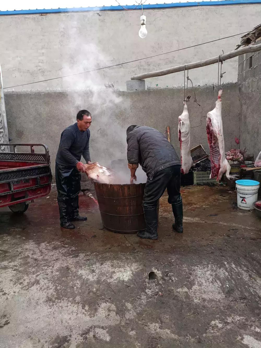 回忆农村过年杀猪：浑身上下都是宝，怎么做都好吃