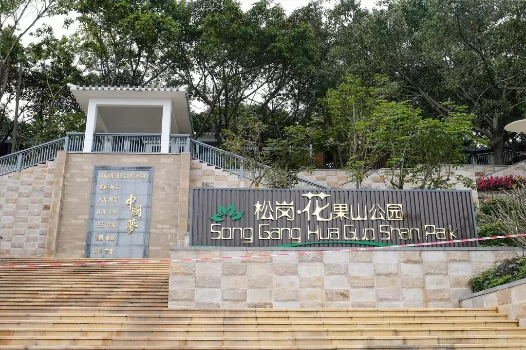 下一个松岗,这里是深圳宝安