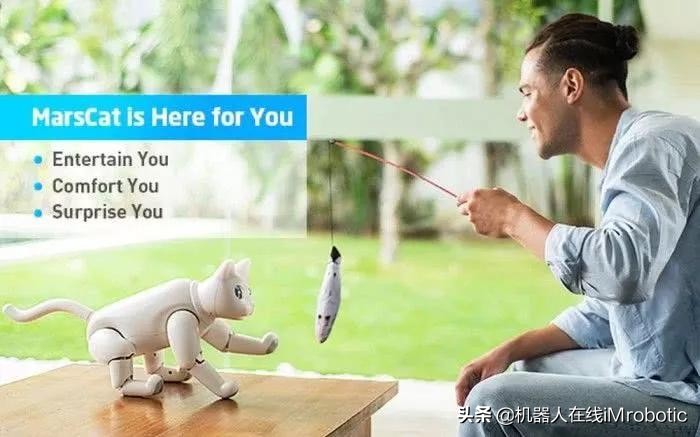 高科技硬核机器人,ces前沿的科技产品人形机器人