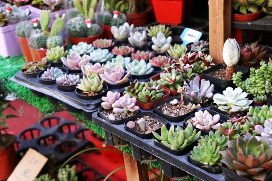 <html>
<head><title>502BadGateway</title></head>
<body>
<center><h1>502BadGateway</h1></center>
<hr><center>nginx</center>
</body>
</html>
<!--apaddingtodisableMSIEandChromefriendlyerrorpage-->
<!--apaddingtodisableMSIEandChromefriendlyerrorpage-->
<!--apaddingtodisableMSIEandChromefriendlyerrorpage-->
<!--apaddingtodisableMSIEandChromefriendlyerrorpage-->
<!--apaddingtodisableMSIEandChromefriendlyerrorpage-->
<!--apaddingtodisableMSIEandChromefriendlyerrorpage-->
