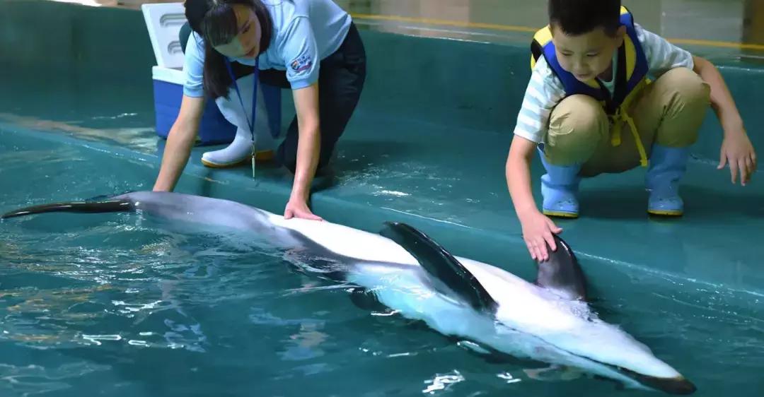 带小婴儿长隆动物园游玩攻略,亲子游玩广州熊猫酒店长隆攻略