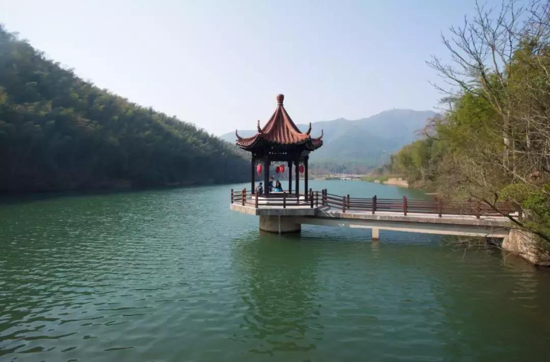 每逢节后胖三斤?是时候来宜兴竹海吸氧遛弯了!