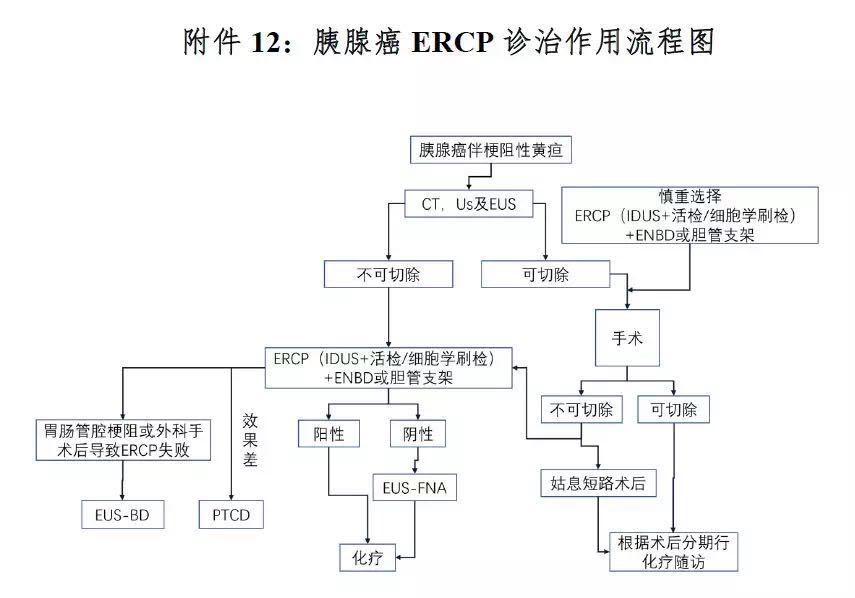 2018年胰腺癌诊疗规范,胰腺癌诊疗指南2023用药
