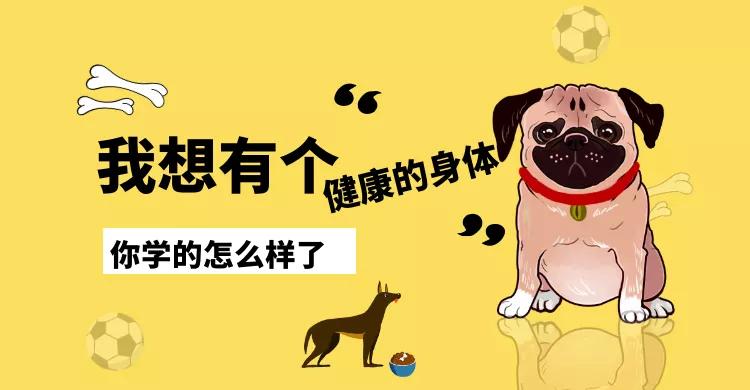 宠物健康管理师国家承认吗,宠物健康管理师证有用吗