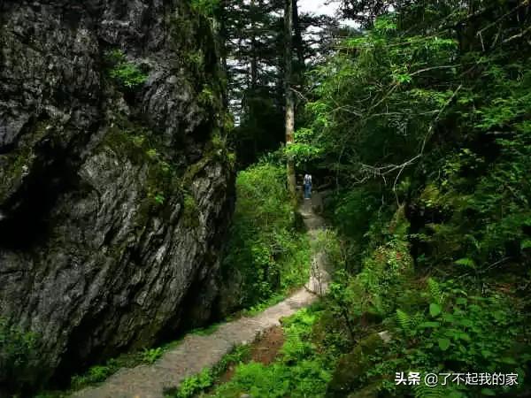 洛阳特产必买清单一览表,中国各地特产一览表