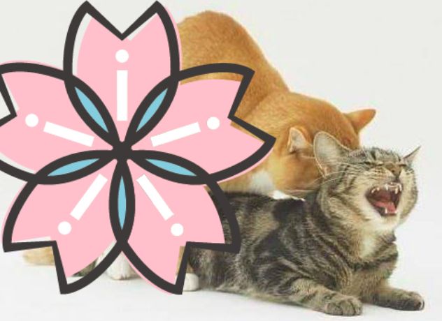 哪款香水好闻又持久男生适合用,男生喷的淡香水推荐哪款好闻