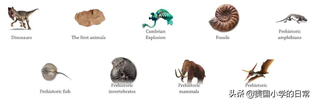可以科普各类知识的免费app,有哪些免费的知识平台