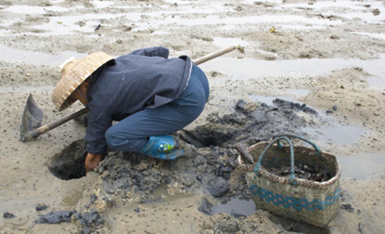 这海鲜真是太美味了令人难以抗拒,吴川的海鲜哪种最好吃