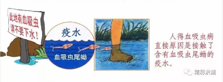 警惕这类疾病进入高发期,警惕这类疾病来袭