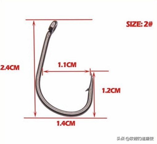 钓鱼也是一种技术,科学钓鱼的基本原理