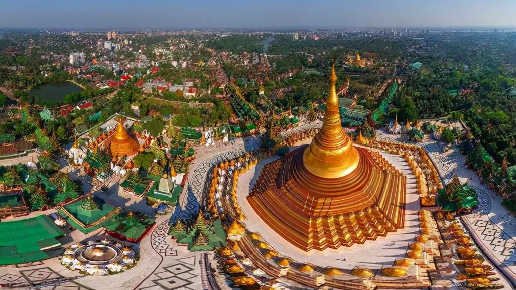 头骨最值钱鸟,头骨很珍贵的鸟