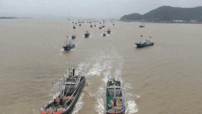 中国四个海哪个海海鲜好吃,渤海还是黄海的海鲜好