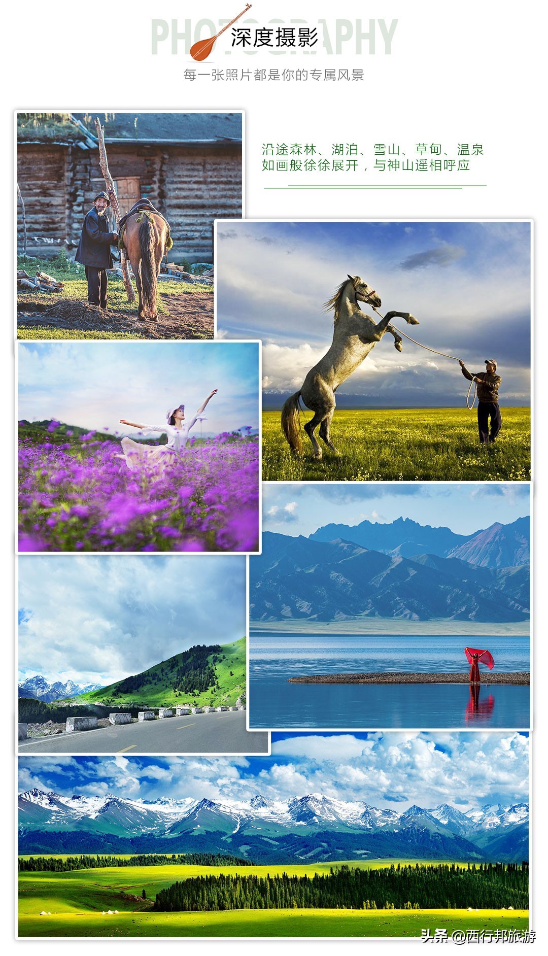 哼，又想「骗」我去*疆新**旅游！