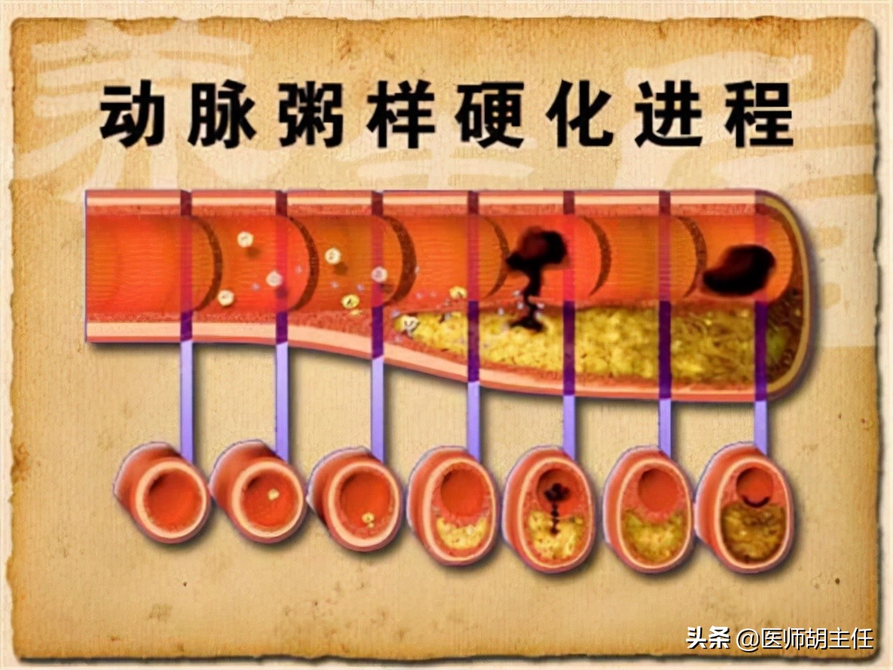 几块钱的维生素b2能减肥吗,维生素b2片治高血压