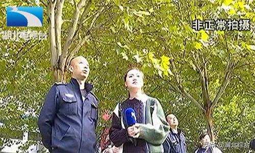 小区底商汽车修理厂喷漆扰民,汽修厂油漆味扰民怎么投诉