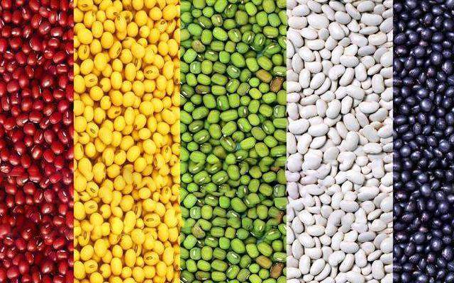 二十四节气立夏ppt课件免费,二十四节气立夏的诗句古诗