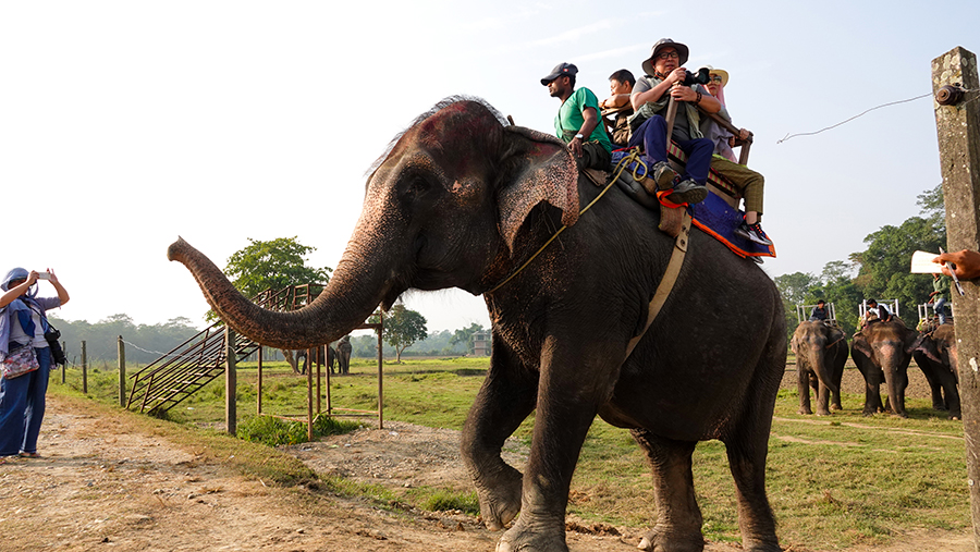 尼泊尔十堰,尼泊尔为什么这么穷