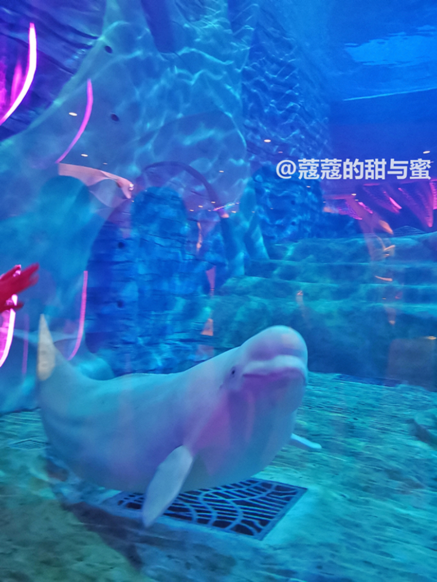 海南三亚游玩攻略亚特兰蒂斯,海南三亚攻略亚特兰蒂斯