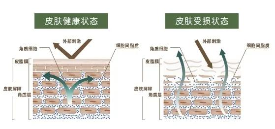 怎么聊敏感的事,和女生聊敏感话