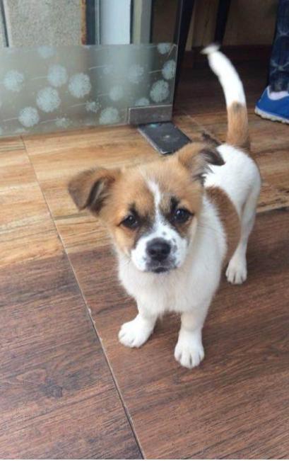 letsgo带你去兜风,letsgo旅行视频