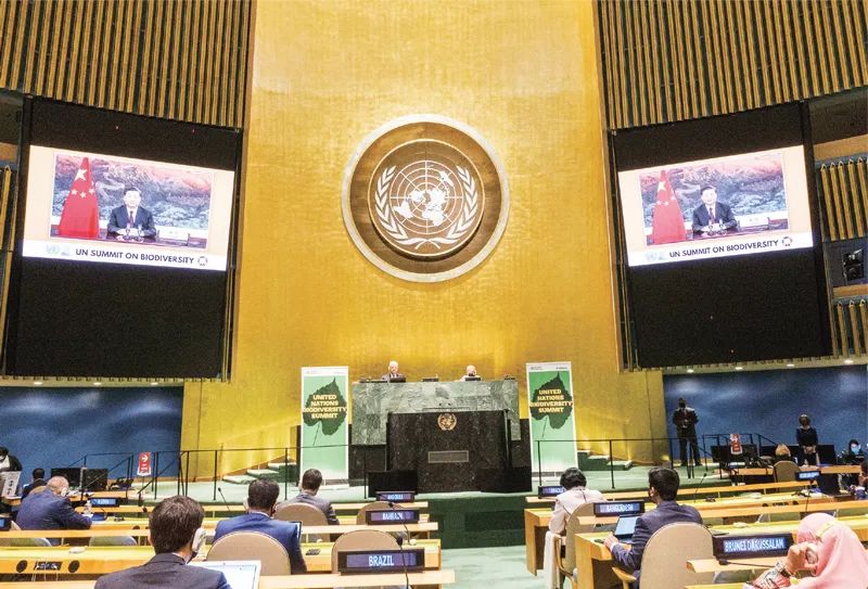 习*平近**:共同构建人类命运共同体