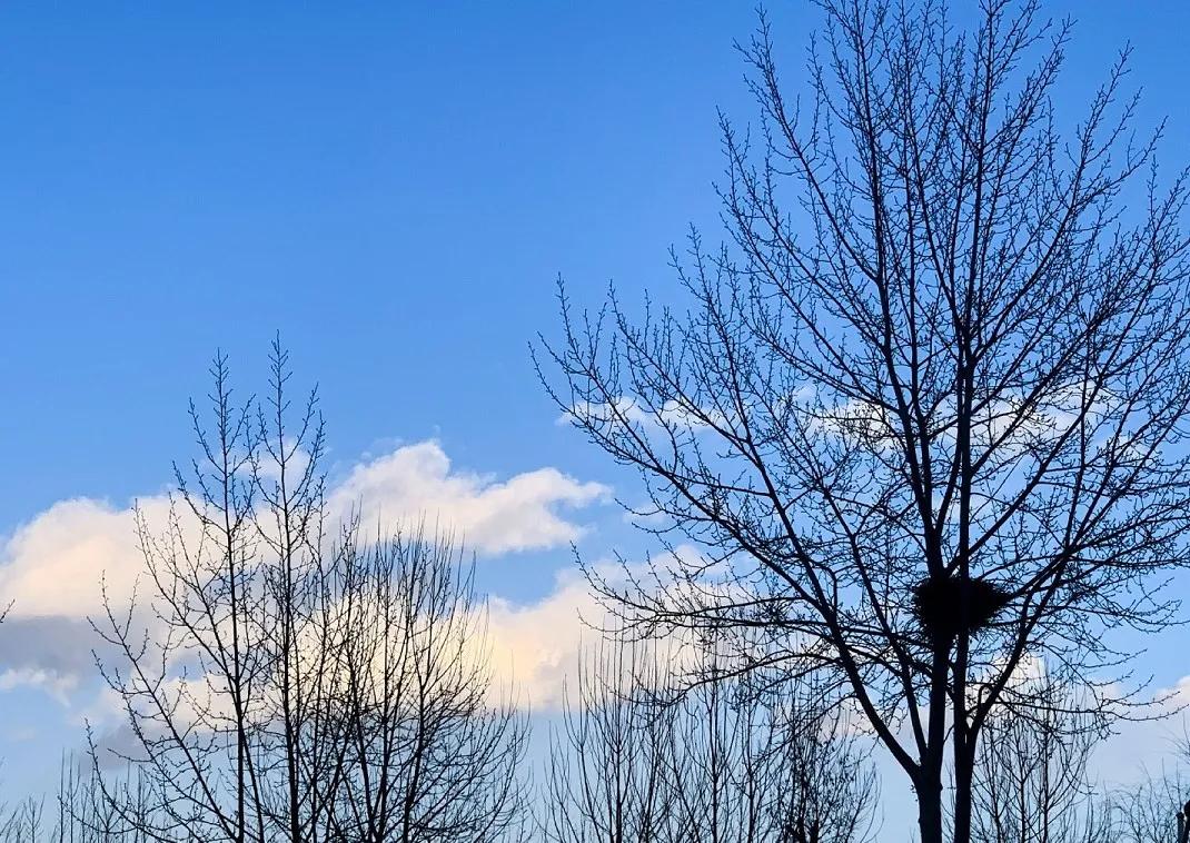 宁夏11所高校宿舍大PK，谁才是“别人家的大学”？