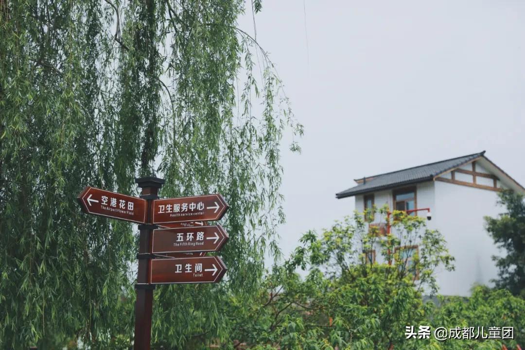 空港花田和空港体育公园哪个好,空港运动公园看飞机攻略