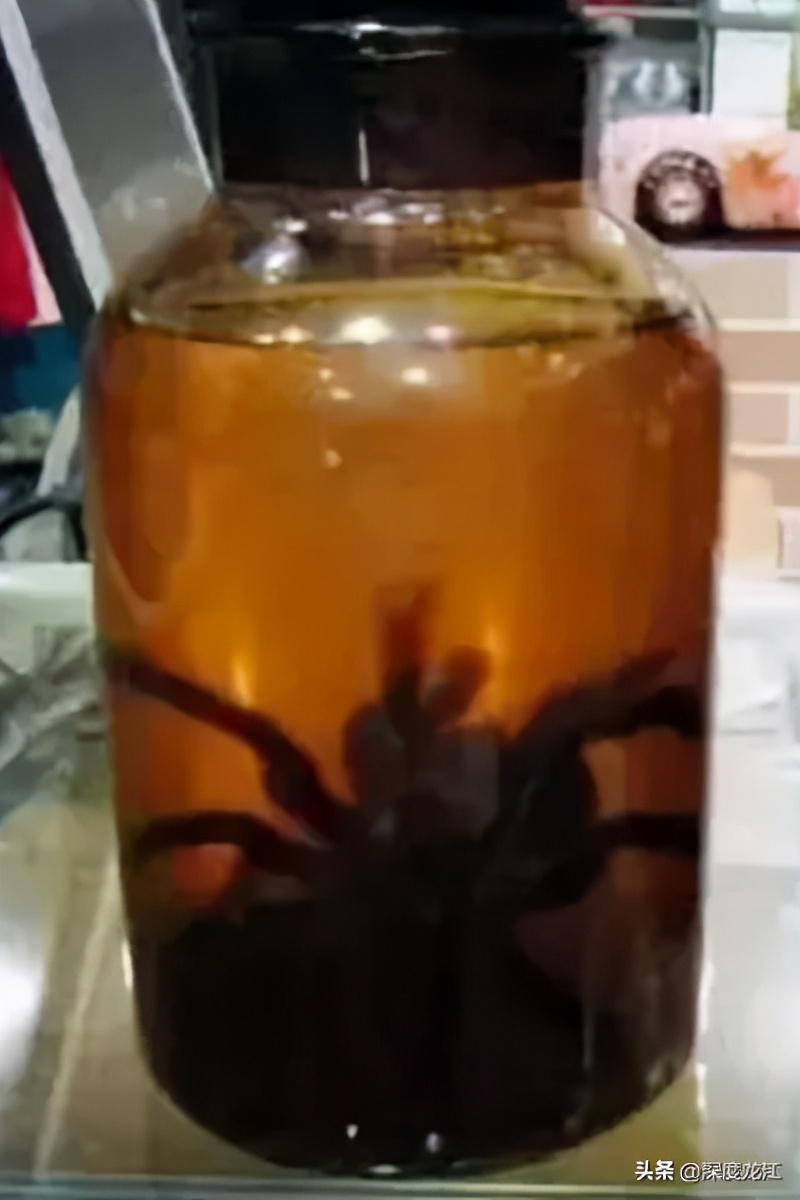 广西104岁老人自制药酒,爷爷泡的10年药酒