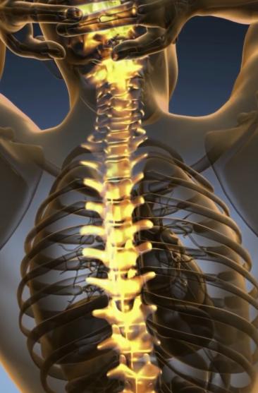 坐骨神经饮食注意什么,腰椎间盘突出坐骨神经痛饮食注意