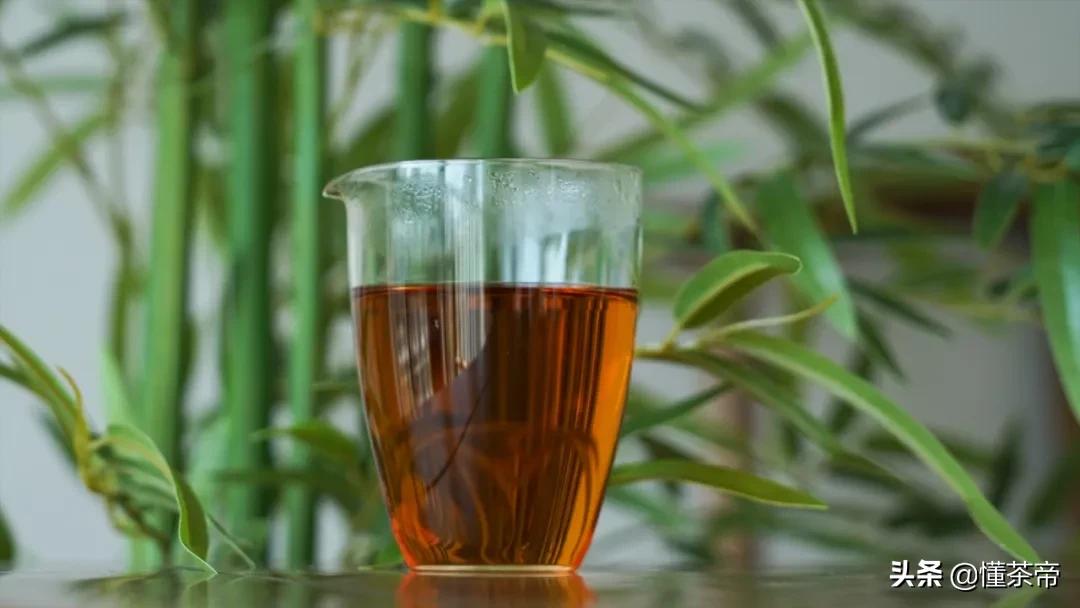 新手小白入门指南买茶小技巧,新手买茶叶注意事项