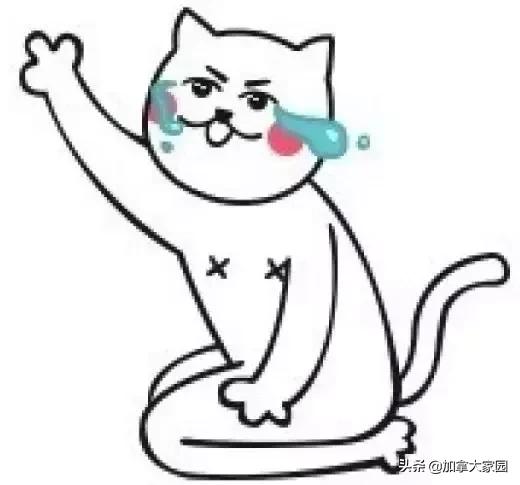 寄包裹去加拿大,寄加拿大包裹加拿大收税吗