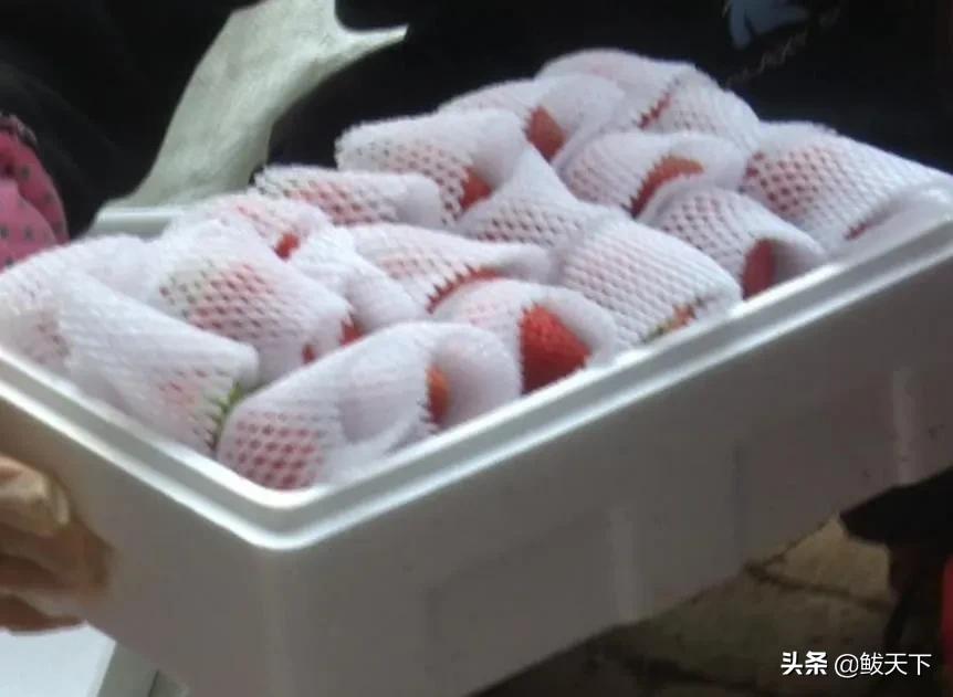 党员齐上阵抗疫保生产,沿滩党员干部奋战一线抗疫保春耕