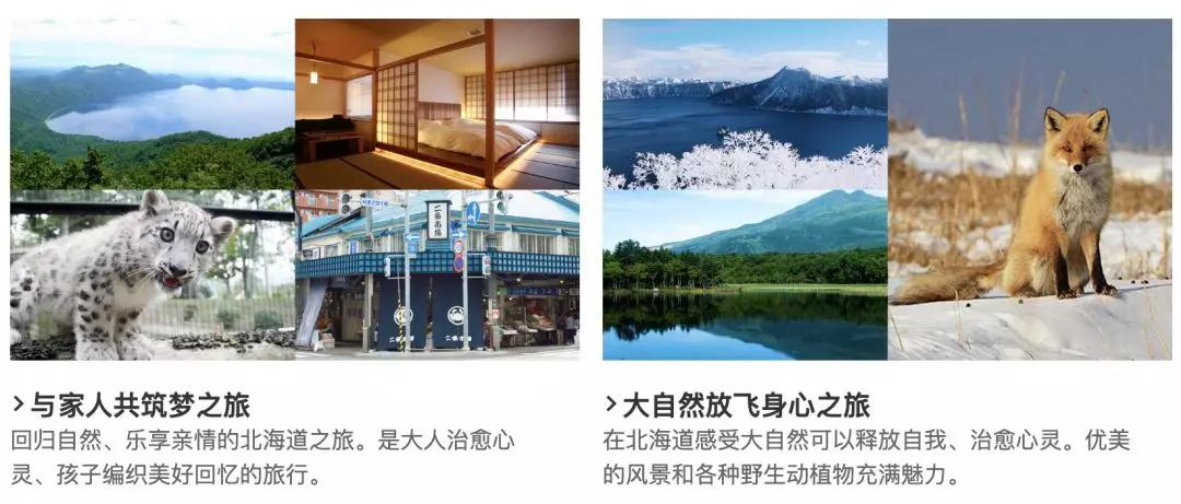 日本旅游攻略保姆级,日本保姆自由行攻略