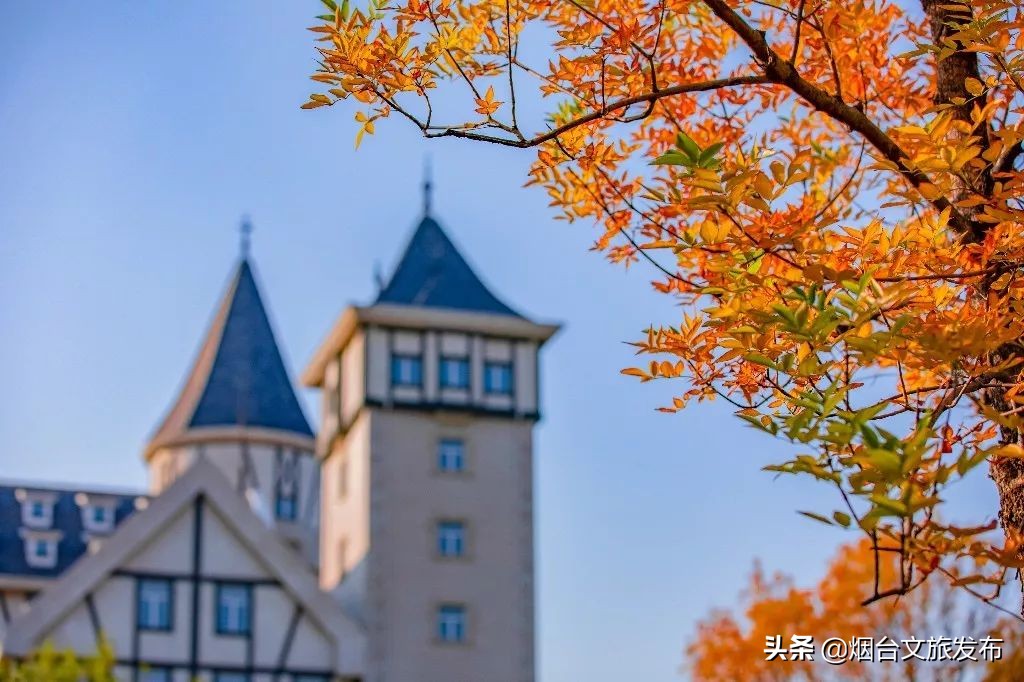 张裕卡斯特酒庄摘葡萄,张裕卡斯特酒庄750毫升定制