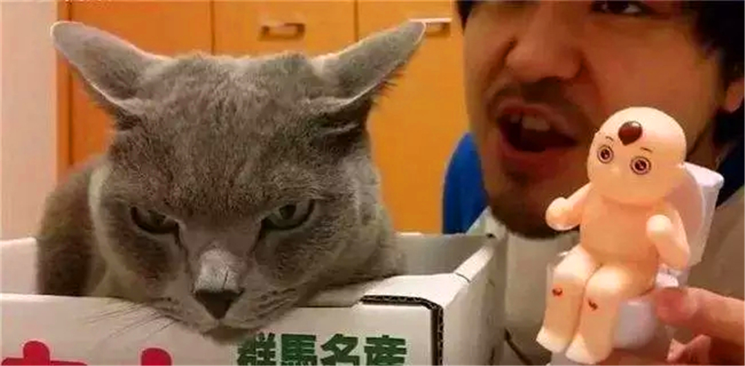 被猫抓伤可能患病的症状,如果被猫抓伤得病是什么症状