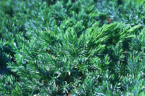 毛孔粗大化妆显老气怎么办,毛孔粗大还显老用什么护肤品