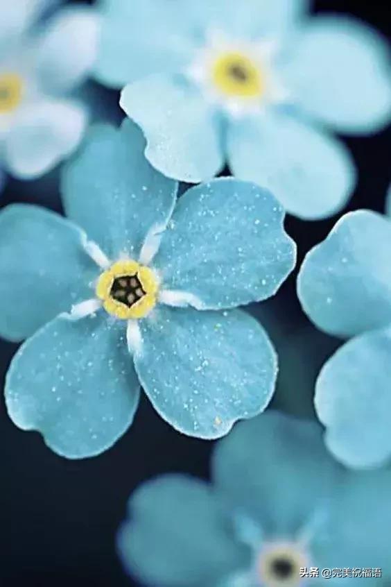 六一相册影集,六一照片专场