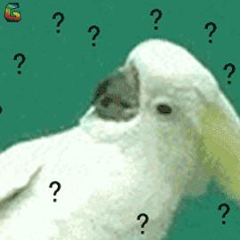 医保卡有钱电子医保卡余额为零,每个月交医保为什么卡上余额很少