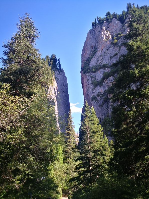 甘肃则岔石林旅游景区,则岔石林哪个漂亮