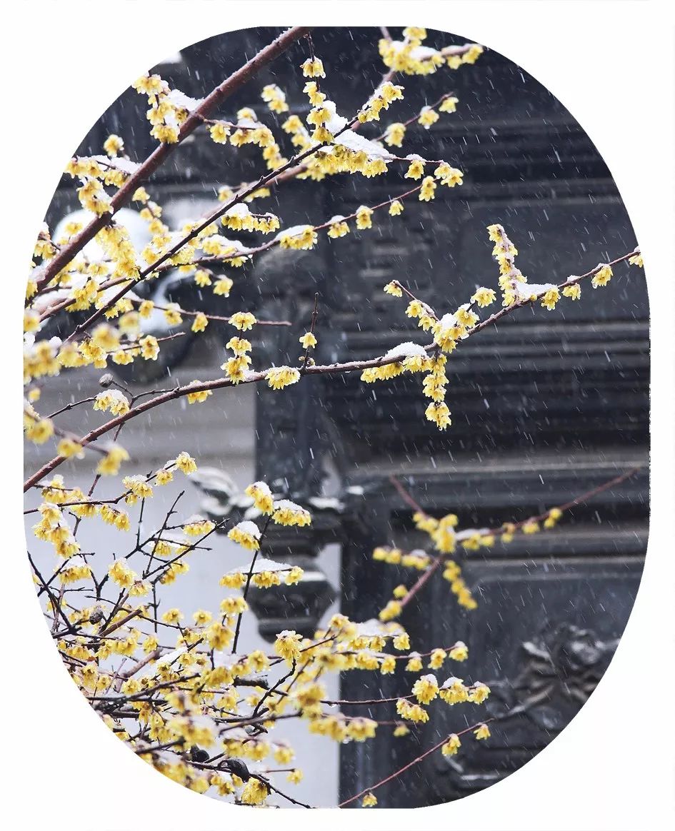 初冬的苏州古城,深秋苏州古城景色