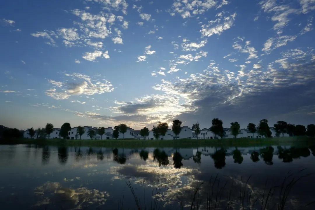 引爆旅游市场！奥体旁将打造蚌埠不夜城！新添古树苑文旅中心