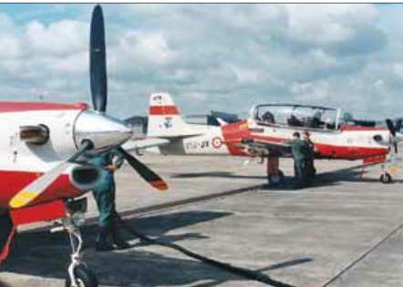 亚马逊雨林十大最凶猛的鸟,棕色巨嘴鸟