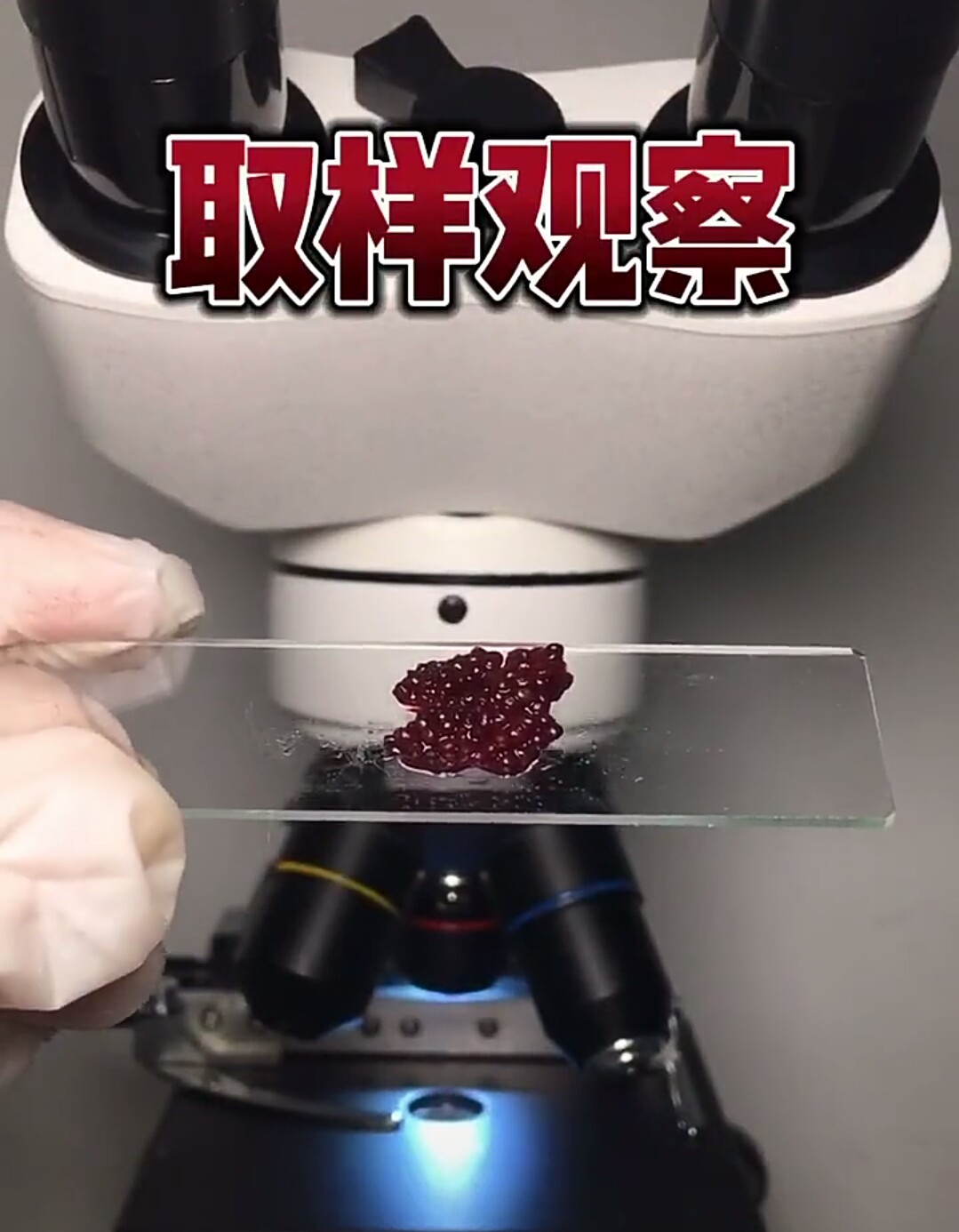 杨梅有农药味道怎么洗,杨梅里面的虫子真的能洗干净吗