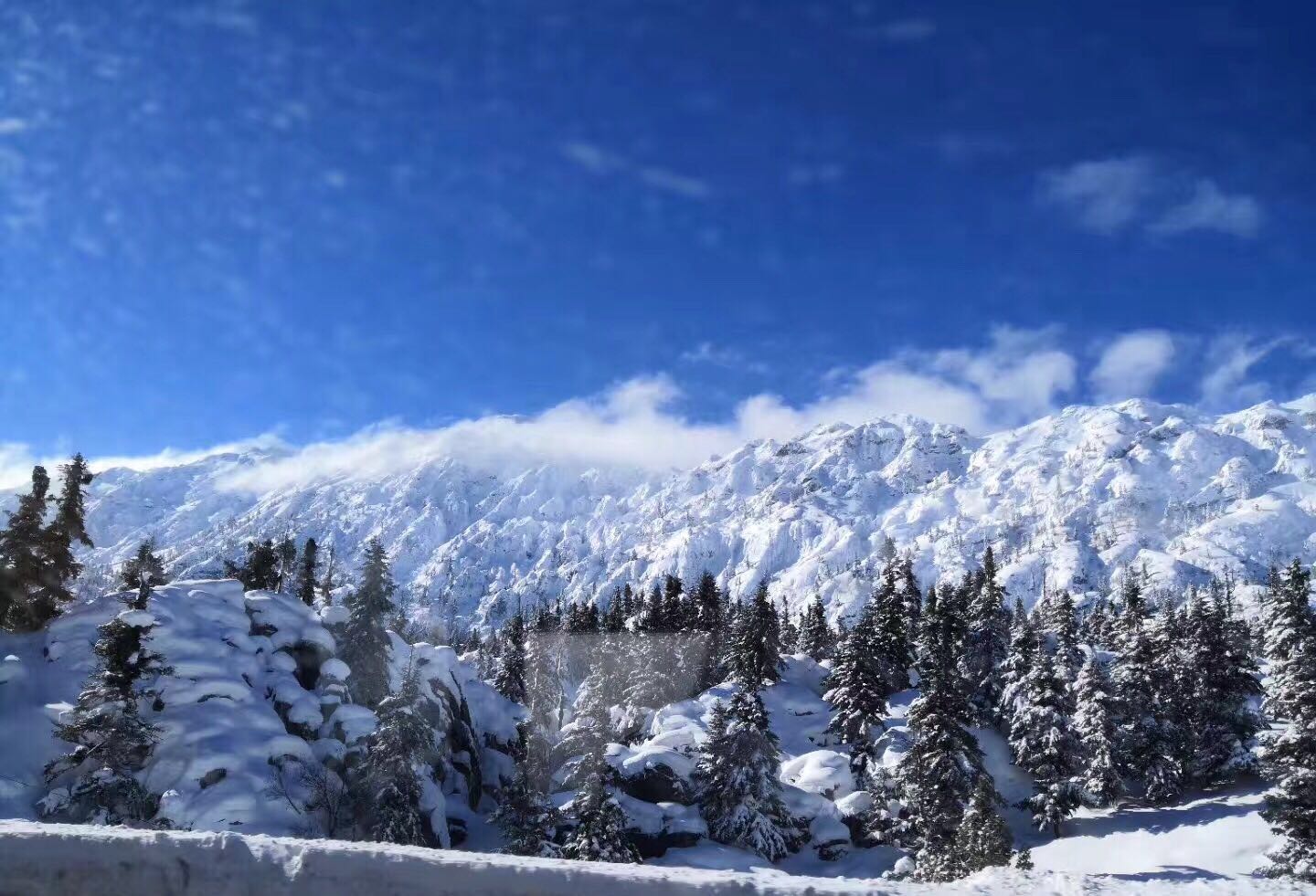 如何实现全网营销,全网营销的方法和技巧