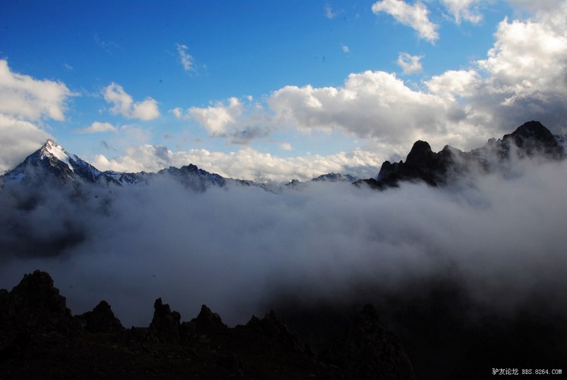 狼c调简谱教唱,狼c