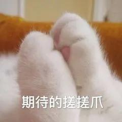 消防救援大队招聘工资,吉安消防救援支队招工